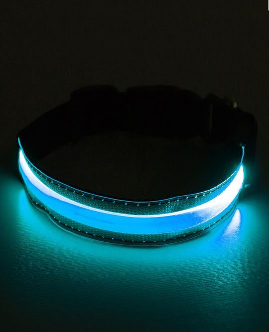 LED COLLAR.