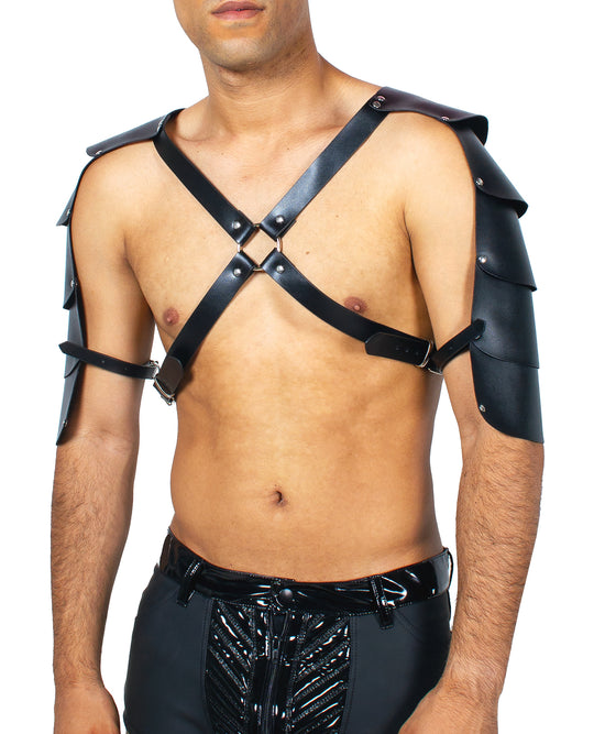 XXX ARMOUR HARNESS.