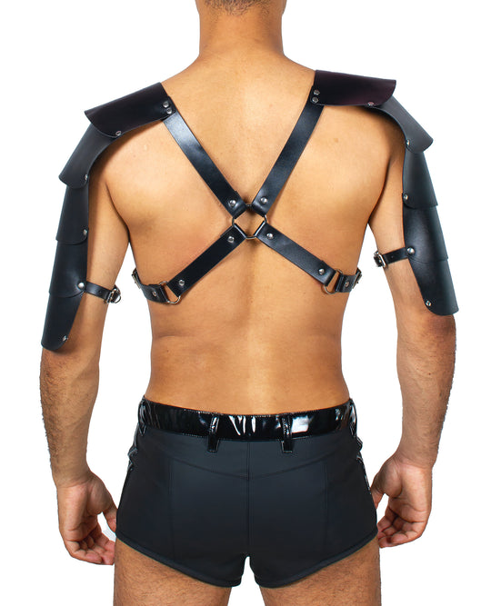 XXX ARMOUR HARNESS.