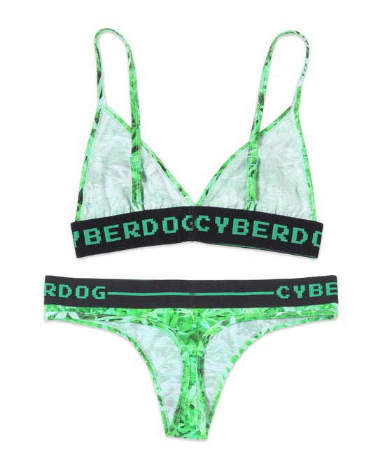 420 BRA