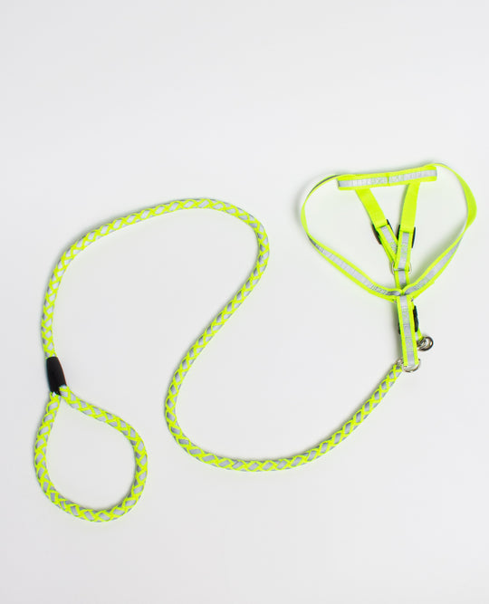 DOG HARNESS & LEASH BRAIDED