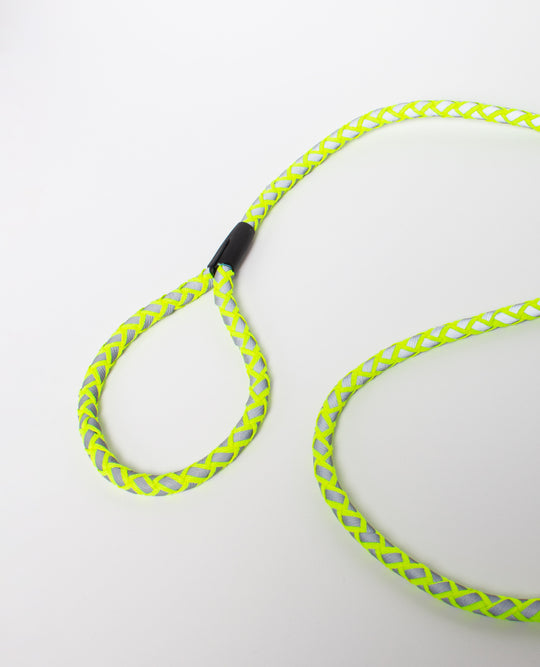 DOG HARNESS & LEASH BRAIDED