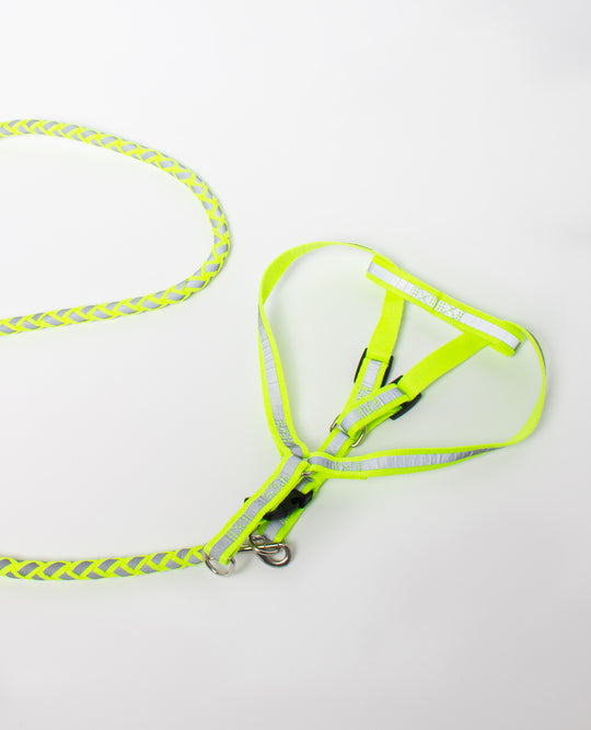 DOG HARNESS & LEASH BRAIDED