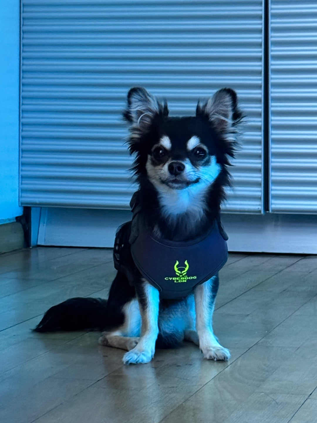 CYBERDOG DOG HARNESS