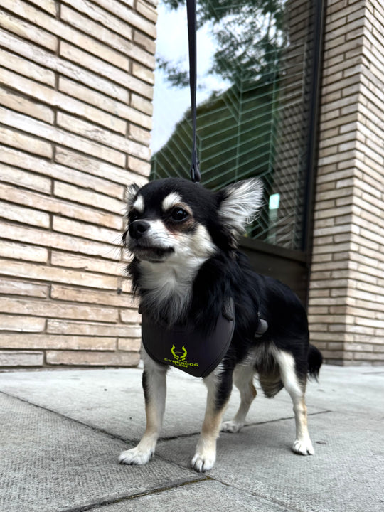 CYBERDOG DOG HARNESS
