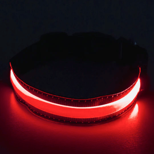 LED COLLAR