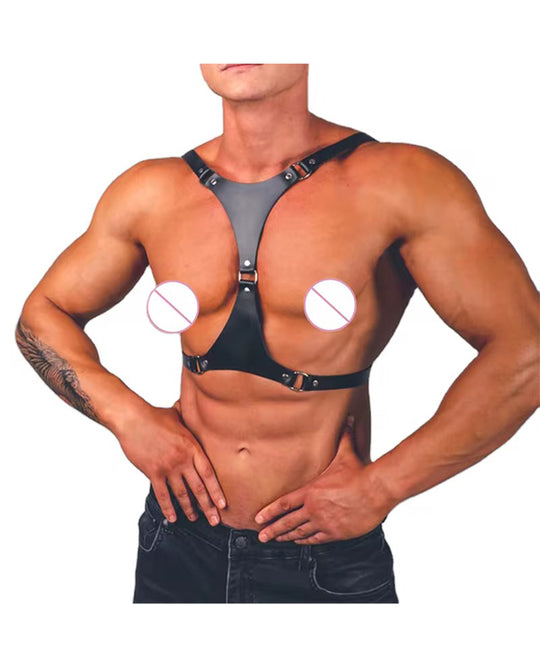 CHEST PLATE HARNESS