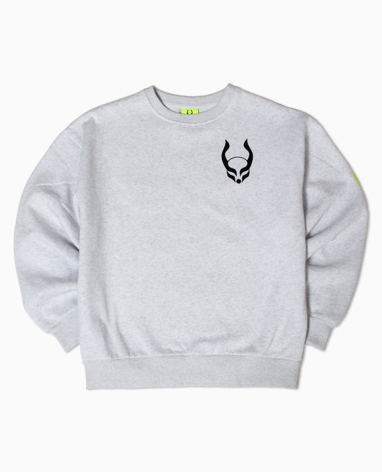 OVERSIZE SWEATSHIRT CIRC