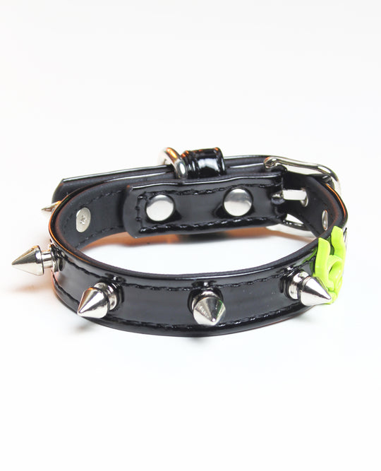 SPIKED DOG COLLAR