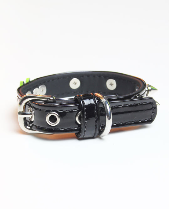 SPIKED DOG COLLAR