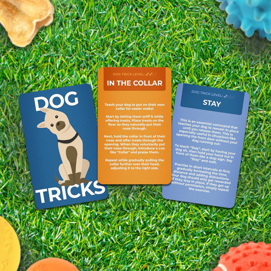 DOG TRICKS CARD PACK