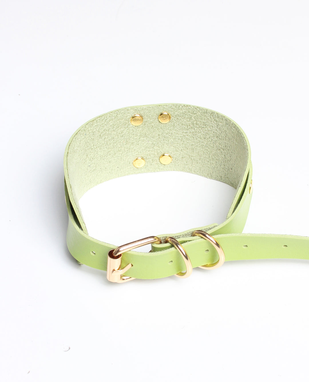 NEW RING COLLAR LIME / GOLD