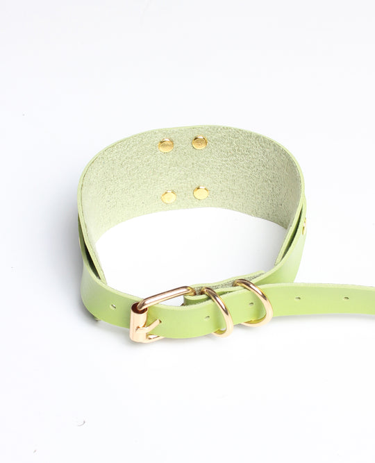 NEW RING COLLAR LIME / GOLD