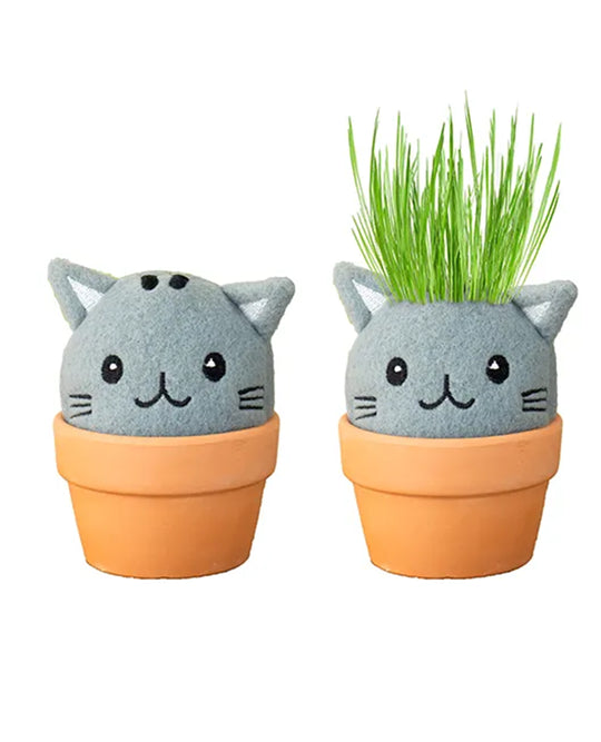 GROW PAL CAT