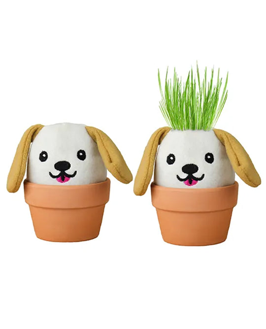 GROW PAL DOG