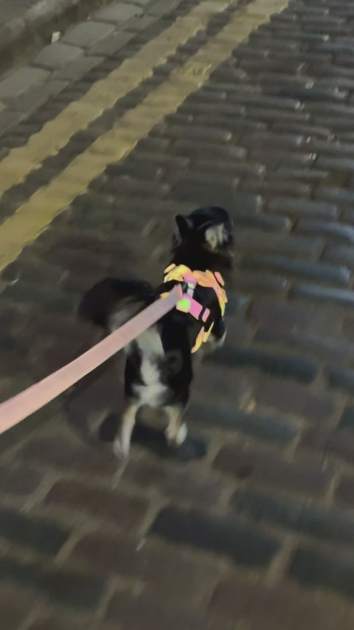 CYBERDOG DOG HARNESS