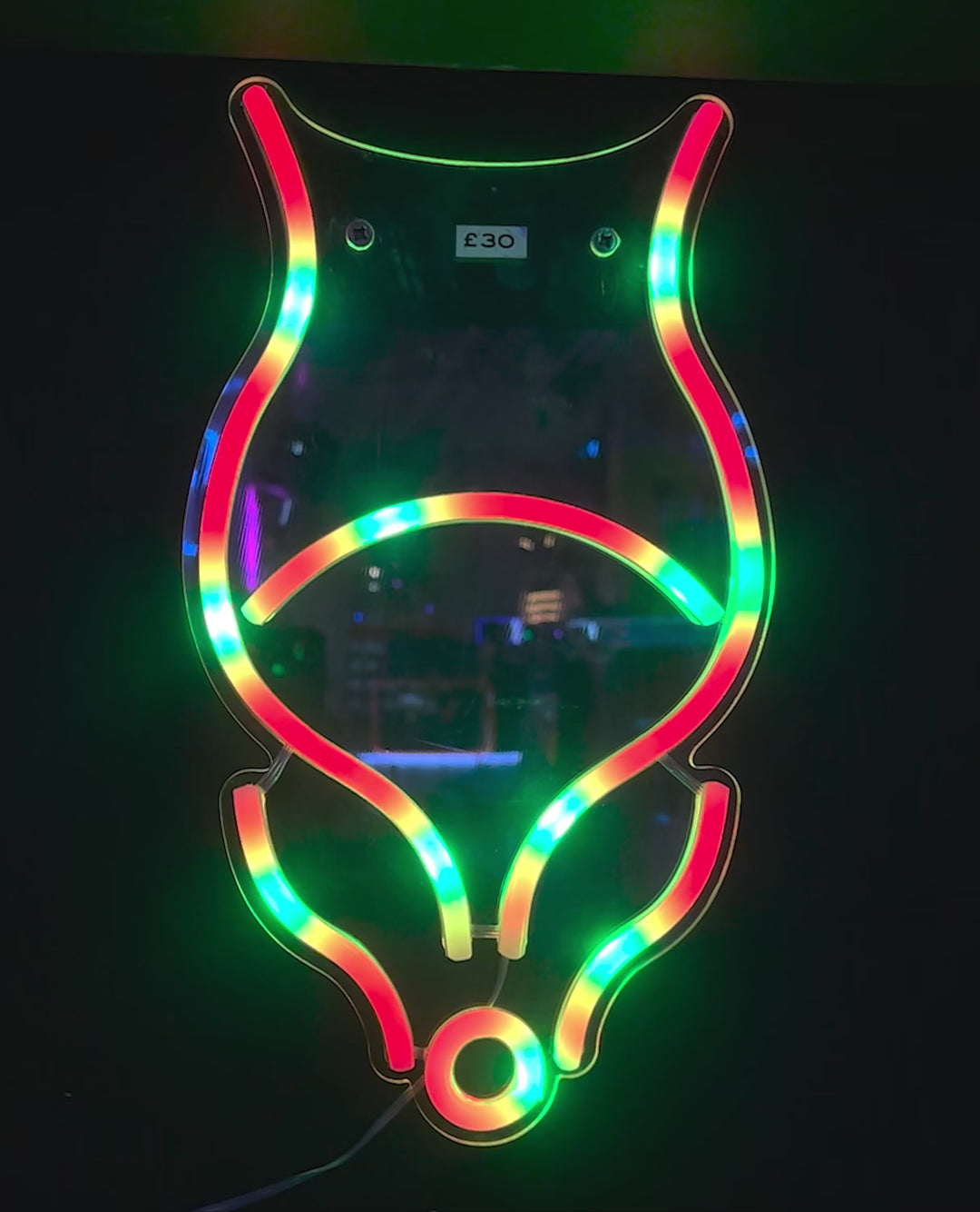 NEON LOGO RGB
