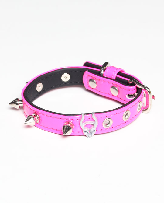 SPIKED DOG COLLAR