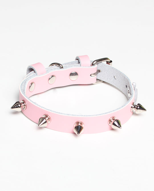 SPIKED DOG COLLAR