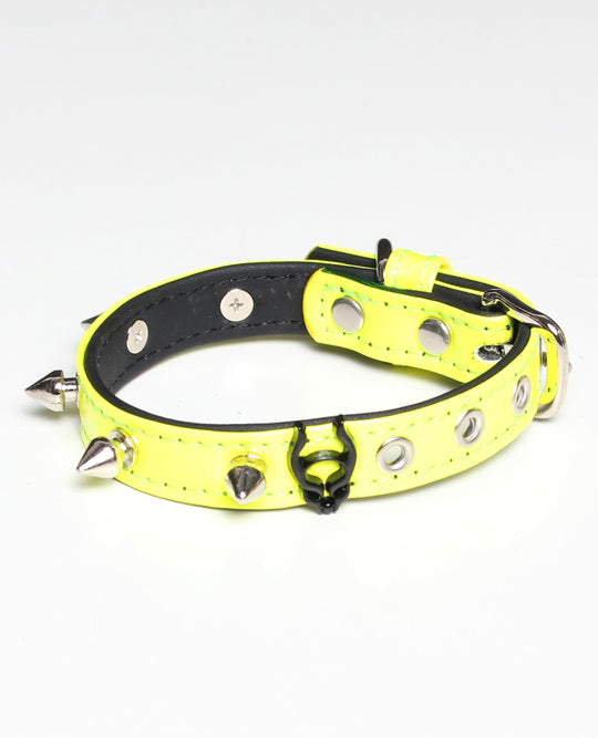 SPIKED DOG COLLAR
