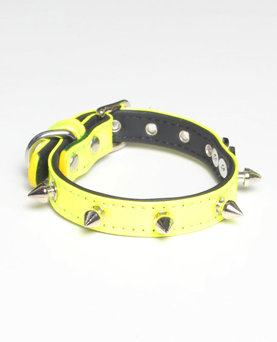 SPIKED DOG COLLAR