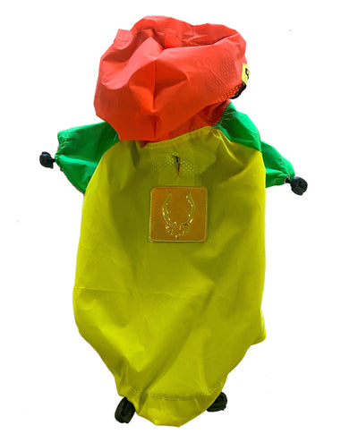 CHICHI DOG JACKET.