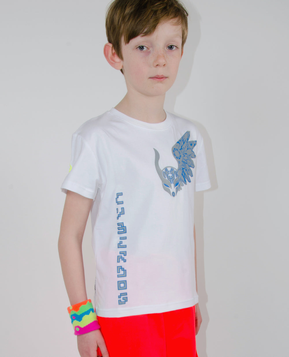 KIDS BOYS S/S T WINGS.