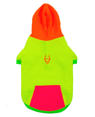 DOG HOODY MULTI NEON.