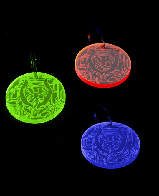 KEYRING MICROCHIP LOGO.