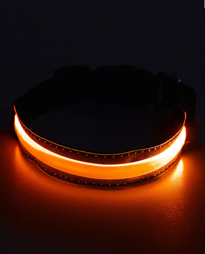 LED COLLAR.