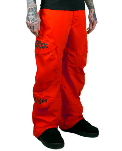 PROTONIC PANTS.
